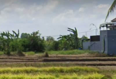 Tanah View Sawah 210m2 di Pantai Kedungu Tabanan - Thumbnail 3