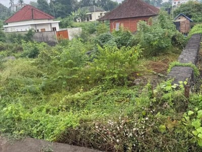 Dijula Tanah Blahbatu Gianyar Dekat Pantai - Thumbnail 4