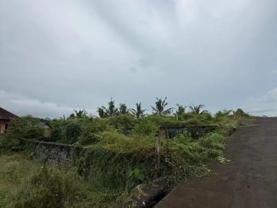 Dijula Tanah Blahbatu Gianyar Dekat Pantai - Thumbnail 3
