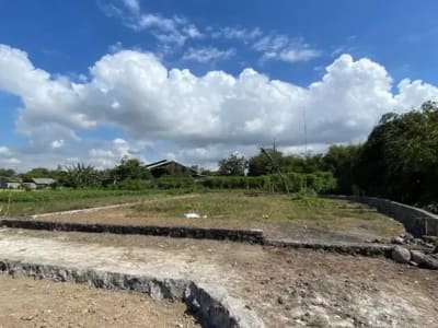TANAH SUBAK TELAGA KETEWEL GIANYAR - Thumbnail 2