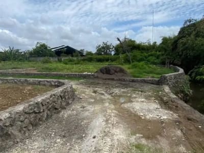 TANAH SUBAK TELAGA KETEWEL GIANYAR - Thumbnail 3