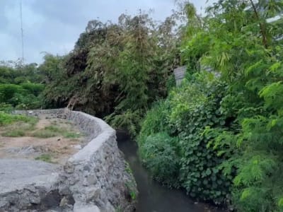 TANAH SUBAK TELAGA KETEWEL GIANYAR - Thumbnail 4