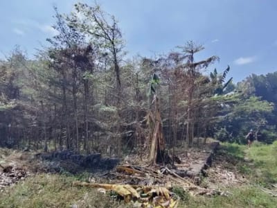 TANAH SUBAK TELAGA KETEWEL GIANYAR - Thumbnail 5