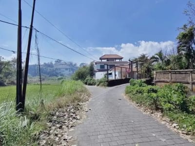 TANAH SUBAK TELAGA KETEWEL GIANYAR - Thumbnail 6