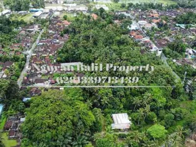 BUC Murah Disewakan Tanah Luas 30,70 Are View Kebun Kawasan Villa di Ubud - Thumbnail 2