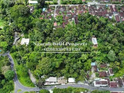 BUC Murah Disewakan Tanah Luas 30,70 Are View Kebun Kawasan Villa di Ubud - Thumbnail 5