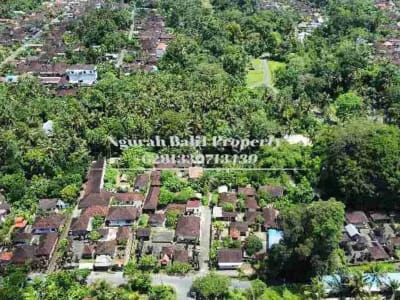 BUC Murah Disewakan Tanah Luas 30,70 Are View Kebun Kawasan Villa di Ubud - Thumbnail 1