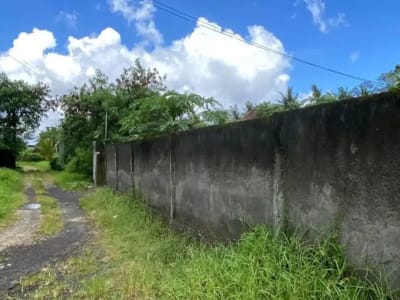 TANAH BAGUS DAN STRATEGIS 20 ARE DI UBUD GIANYAR - Thumbnail 3