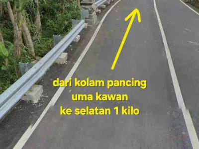 Jual Tanah kebun 33,6are jalan 8 aspal di Payangan Gianyar Ubud Bali - Thumbnail 9