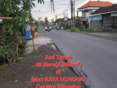 Jual Tanah 49,9are di jln RAYA MUNGGU Cepaka Slingsing, dkt Tumbak bayuh, pererenan Bali - Thumbnail 5