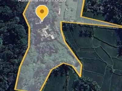 For Lease Exclusive Land Ubud - Thumbnail 5