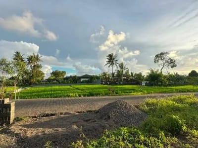 TANAH VIEW SAWAH DI RAYA TUNON SINGAKERTA UBUD GIANYAR - Thumbnail 1