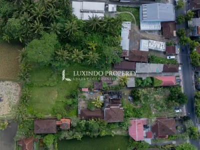 DISEWAKAN JANGKA PANJANG TANAH 13,79 ARE DI KEDEWATAN, UBUD - Thumbnail 2