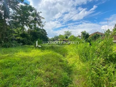 DISEWAKAN JANGKA PANJANG TANAH 13,79 ARE DI KEDEWATAN, UBUD - Thumbnail 6