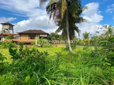 DISEWAKAN JANGKA PANJANG TANAH 13,79 ARE DI KEDEWATAN, UBUD - Thumbnail 9