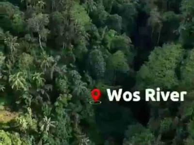 PRIME LOCATION IN WOS RIVER NEAR CAPELLA RESORT UBUD - Thumbnail 5