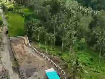 PRIME LOCATION IN WOS RIVER NEAR CAPELLA RESORT UBUD - Thumbnail 4