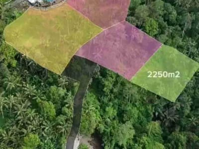 PRIME LOCATION IN WOS RIVER NEAR CAPELLA RESORT UBUD - Thumbnail 9