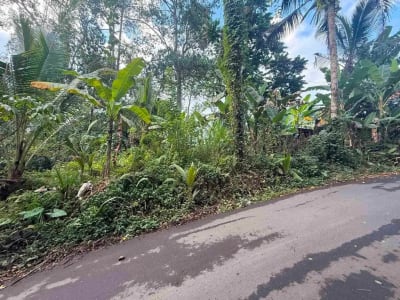 Tanah Murah Los Sungai Begawan Giri Payangan Ubud Bali - Thumbnail 3