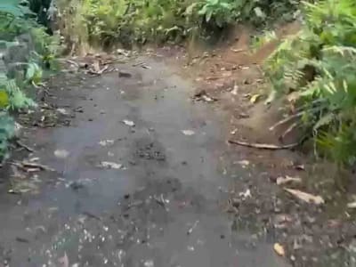 Tanah Murah Los Sungai Begawan Giri Payangan Ubud Bali - Thumbnail 7