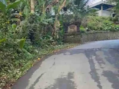 Tanah Murah Los Sungai Begawan Giri Payangan Ubud Bali - Thumbnail 6