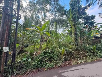 Tanah Murah Los Sungai Begawan Giri Payangan Ubud Bali - Thumbnail 4