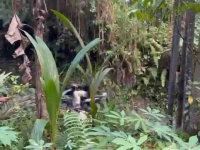 Tanah Murah Los Sungai Begawan Giri Payangan Ubud Bali - Thumbnail 9