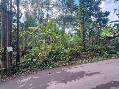 Tanah Murah Los Sungai Begawan Giri Payangan Ubud Bali - Thumbnail 5