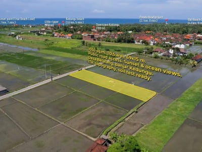 Leasehold Land for Sale in Kedungu, Tabanan – From IDR 17 Million/Are/Year - Thumbnail 6