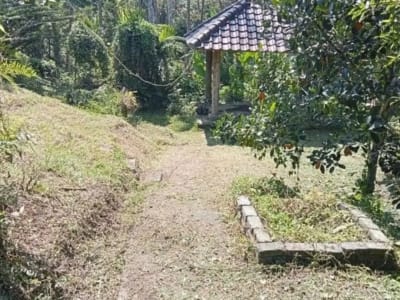 TANAH BONUS BANGUNAN DI KETIMA TABANAN - Thumbnail 2