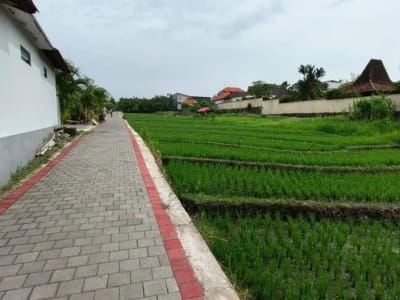 VILLA MODERN WITH RICE VIEW DI CANGGU BADUNG - Thumbnail 9