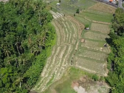 KAVLING MURAH DI JALAN RAYA SEMPIDI BADUNG BALI - Thumbnail 3