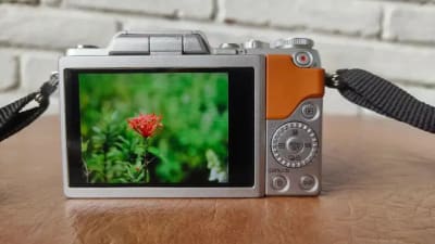 Panasonic Lumix gf8 - Thumbnail 4