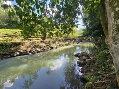 DIJUAL TANAH MURAH DI TABANAN - Thumbnail 1