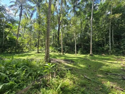 DIJUAL TANAH MURAH DI TABANAN - Thumbnail 2