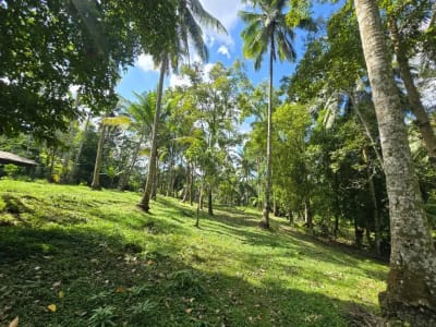 DIJUAL TANAH MURAH DI TABANAN - Thumbnail 9