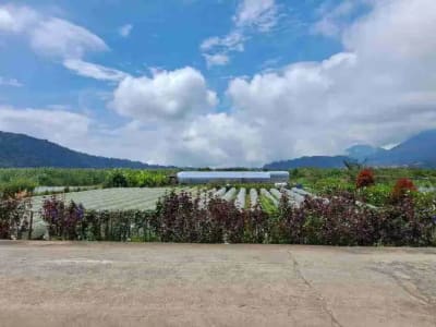 Jual Tanah Pinggir Danau, Tabanan, Bali - Thumbnail 4