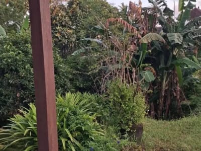 TANAH KAVLING BONUS BANGUNAN RUMAH SABA RESIDENCE BLAHBATUH - Thumbnail 5
