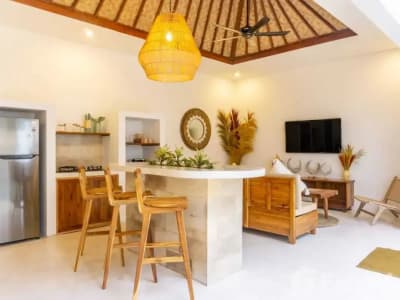 2 Bedroom Villa for sale in Ubud, Bali - Thumbnail 4
