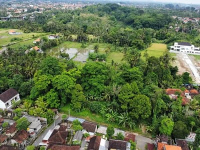 Tanah Murah di Sentral Ubud Dekat Restoran dan Fasilitas Umum - Thumbnail 3