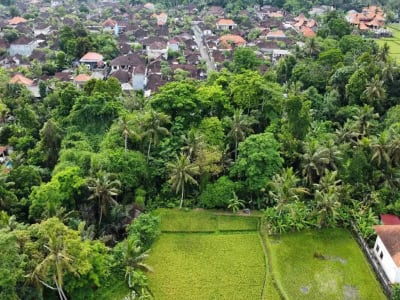 Tanah Murah di Sentral Ubud Dekat Restoran dan Fasilitas Umum - Thumbnail 7