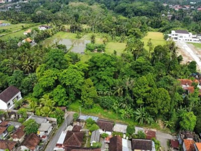 Tanah Murah di Sentral Ubud Dekat Restoran dan Fasilitas Umum - Thumbnail 8