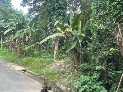 Tanah Murah di Sentral Ubud Dekat Restoran dan Fasilitas Umum - Thumbnail 9