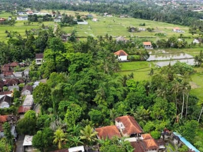 Tanah Murah di Sentral Ubud Dekat Restoran dan Fasilitas Umum - Thumbnail 2