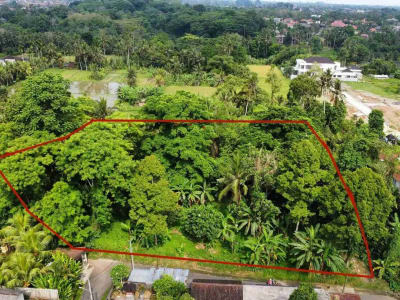 Tanah Murah di Sentral Ubud Dekat Restoran dan Fasilitas Umum - Thumbnail 6