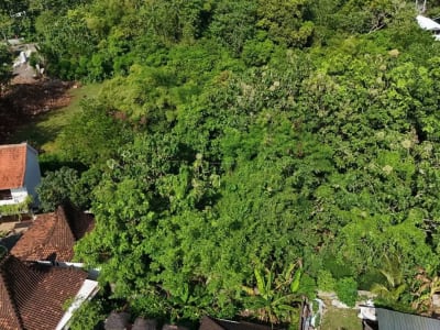 Prime Land Padang-Padang, Uluwatu - Very Rare Opportunity - Thumbnail 5