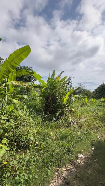 Dijual Tanah Plot Kecill 200m2 di Kawasan Bingin Uluwatu Bali - Thumbnail 4
