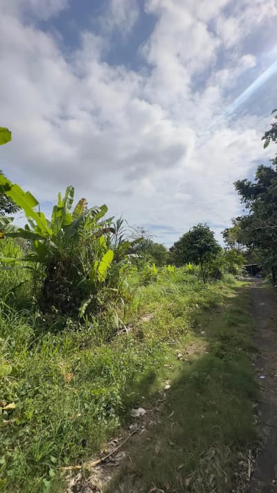 Dijual Tanah Plot Kecill 200m2 di Kawasan Bingin Uluwatu Bali - Thumbnail 10