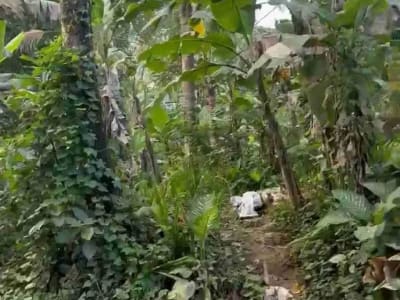 Tanah Premium Payangan View Jungle Dekat Resort - Thumbnail 4