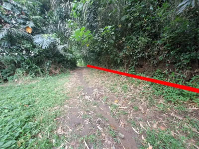 Prime Riverside Land In Mambal, Abiansemal, Quiet Area, Close To Central Ubud, Suitable For Villa - Thumbnail 4